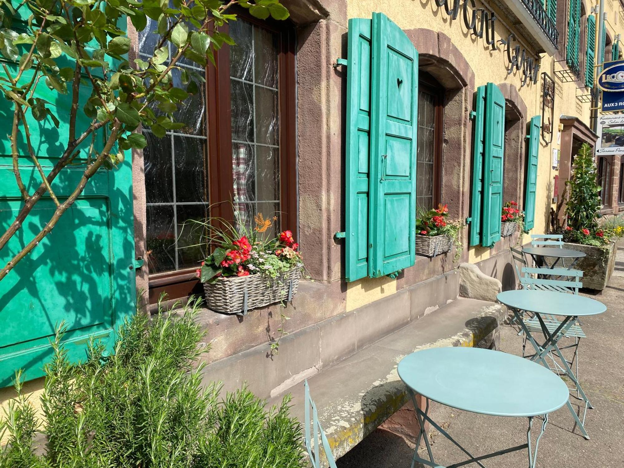 Hotel Restaurant Aux Trois Roses لا بيتيت-بيير المظهر الخارجي الصورة